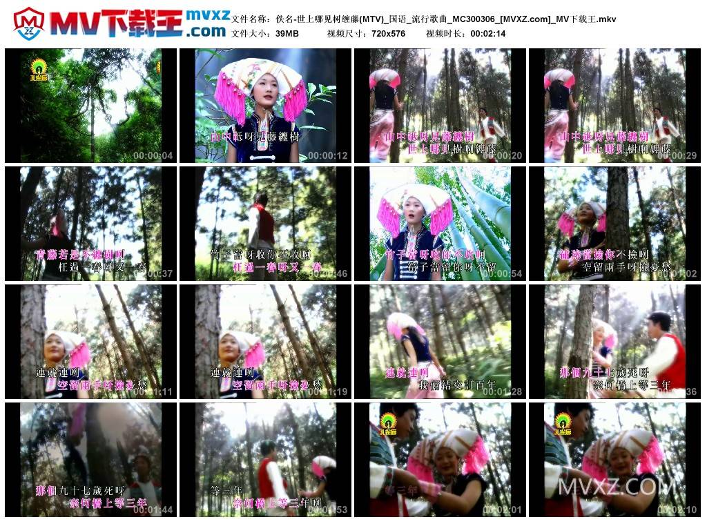 佚名-世上哪见树缠藤(MTV)_国语_流行歌曲_MC300306